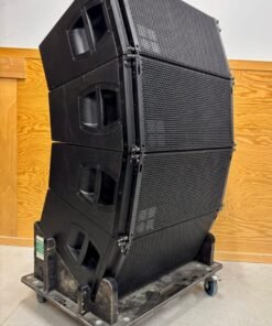 D&B V12